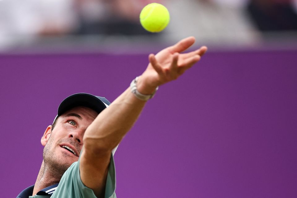 层的化学反 层的化学反