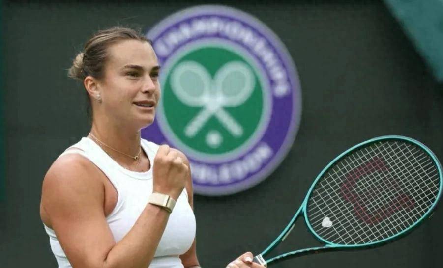 将为这个项 将为这个项